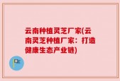 云南种植灵芝厂家(云南灵芝种植厂家：打造健康生态产业链)