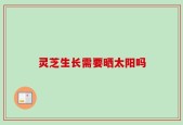 灵芝生长需要晒太阳吗