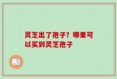 灵芝出了孢子？哪里可以买到灵芝孢子
