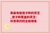 表面有层孢子粉的灵芝_孢子粉覆盖的灵芝：珍贵草药的全新视角