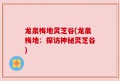 龙泉梅地灵芝谷(龙泉梅地：探访神秘灵芝谷)