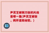 尹灵芝被铡刀斩的片段是哪一集(尹灵芝被斩，揭开谍局秘密。)