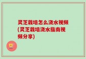 灵芝栽培怎么浇水视频(灵芝栽培浇水指南视频分享)