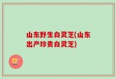 山东野生白灵芝(山东出产珍贵白灵芝)