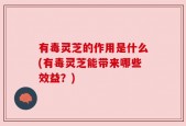 有毒灵芝的作用是什么(有毒灵芝能带来哪些效益？)