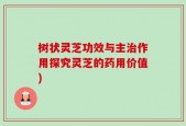树状灵芝功效与主治作用探究灵芝的药用价值)