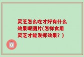 灵芝怎么吃才好有什么效果呢图片(怎样食用灵芝才能发挥效果？)