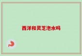西洋和灵芝泡水吗