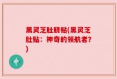 黑灵芝肚脐贴(黑灵芝肚贴：神奇的领航者？)