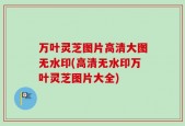 万叶灵芝图片高清大图无水印(高清无水印万叶灵芝图片大全)