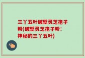 三丫五叶破壁灵芝孢子粉(破壁灵芝孢子粉：神秘的三丫五叶)