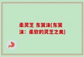 柔灵芝 东篱沫(东篱沫：柔软的灵芝之美)