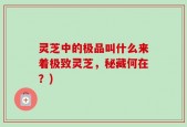 灵芝中的极品叫什么来着极致灵芝，秘藏何在？)
