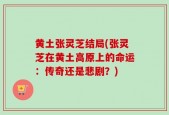 黄土张灵芝结局(张灵芝在黄土高原上的命运：传奇还是悲剧？)