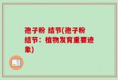 孢子粉 结节(孢子粉结节：植物发育重要迹象)