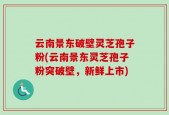 云南景东破壁灵芝孢子粉(云南景东灵芝孢子粉突破壁，新鲜上市)