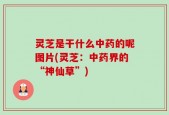灵芝是干什么中药的呢图片(灵芝：中药界的“神仙草”)