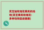 灵芝加玫瑰花黄芪的功效(灵芝黄芪玫瑰花：多种功效促进健康)