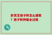 野灵芝孢子粉怎么提取？孢子粉种植全过程