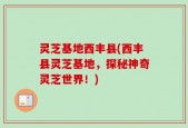 灵芝基地西丰县(西丰县灵芝基地，探秘神奇灵芝世界！)