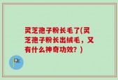 灵芝孢子粉长毛了(灵芝孢子粉长出绒毛，又有什么神奇功效？)