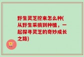 野生灵芝挖来怎么种(从野生采摘到种植，一起探寻灵芝的奇妙成长之路)