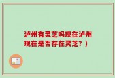 泸州有灵芝吗现在泸州现在是否存在灵芝？)