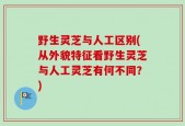 野生灵芝与人工区别(从外貌特征看野生灵芝与人工灵芝有何不同？)