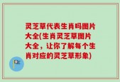 灵芝草代表生肖吗图片大全(生肖灵芝草图片大全，让你了解每个生肖对应的灵芝草形象)