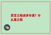 灵芝三萜进步分离？什么是三萜