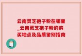 云南灵芝孢子粉在哪里_云南灵芝孢子粉的购买地点及品质鉴别指南