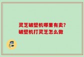 灵芝破壁机哪里有卖？破壁机打灵芝怎么做