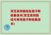 灵芝高效栽培及孢子粉收集技术(灵芝高效栽培与有效孢子粉收集技术)