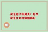 灵芝孢子粉夏天？野生灵芝什么时候摘最好