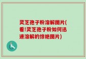灵芝孢子粉溶解图片(看!灵芝孢子粉如何迅速溶解的惊艳图片)