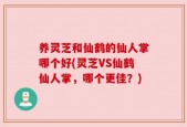 养灵芝和仙鹤的仙人掌哪个好(灵芝VS仙鹤仙人掌，哪个更佳？)