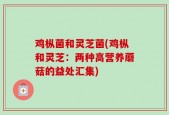 鸡枞菌和灵芝菌(鸡枞和灵芝：两种高营养蘑菇的益处汇集)