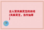 古人赞天麻灵芝的诗词(天麻灵芝，当代仙草)