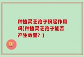 种植灵芝孢子粉起作用吗(种植灵芝孢子能否产生效果？)