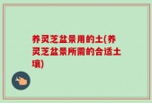 养灵芝盆景用的土(养灵芝盆景所需的合适土壤)