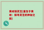 黄坡镇灵芝(重生于黄坡：探寻灵芝的神秘之旅)