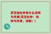 灵芝加杜仲有什么功效与作用(灵芝杜仲：功效与作用，详解！)