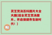 灵芝煲汤百科图片大全大图(超全灵芝煲汤图片，开启保健养生新时代！)