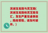 滨湖玉龙路与灵芝路(滨湖玉龙路和灵芝路交汇，发生严重交通事故，路段受阻，请及时避开。)