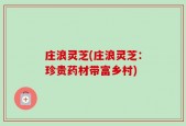 庄浪灵芝(庄浪灵芝：珍贵药材带富乡村)