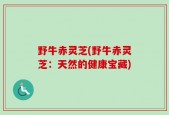 野牛赤灵芝(野牛赤灵芝：天然的健康宝藏)