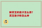 鲜灵芝的孢子怎么弄？灵芝孢子粉怎么种