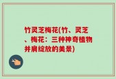 竹灵芝梅花(竹、灵芝、梅花：三种神奇植物并肩绽放的美景)