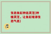 生态鱼缸种出灵芝(种植灵芝，让鱼缸增添生态气息)