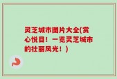 灵芝城市图片大全(赏心悦目！一览灵芝城市的壮丽风光！)